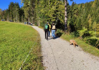 Wanderung durch Seefeld